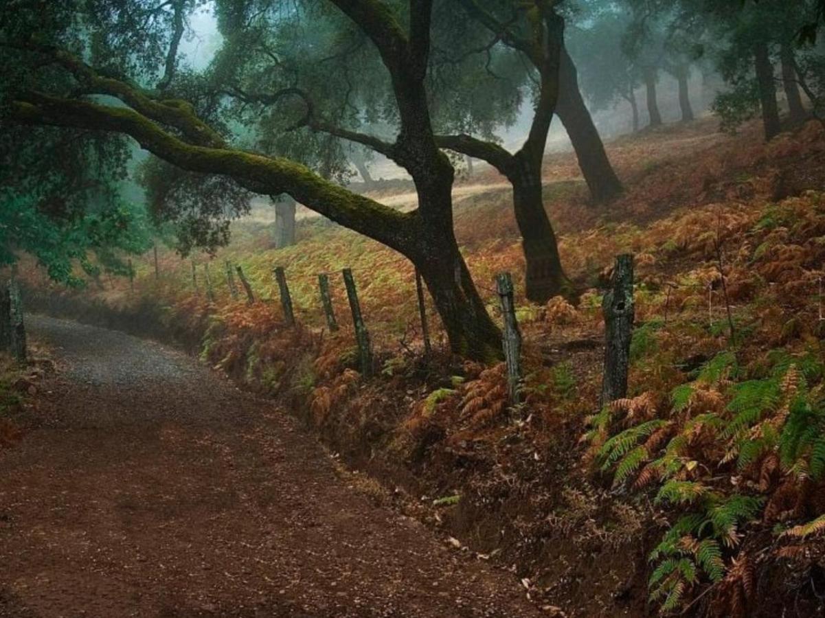 Finca Charco La Olla Хабуго Экстерьер фото