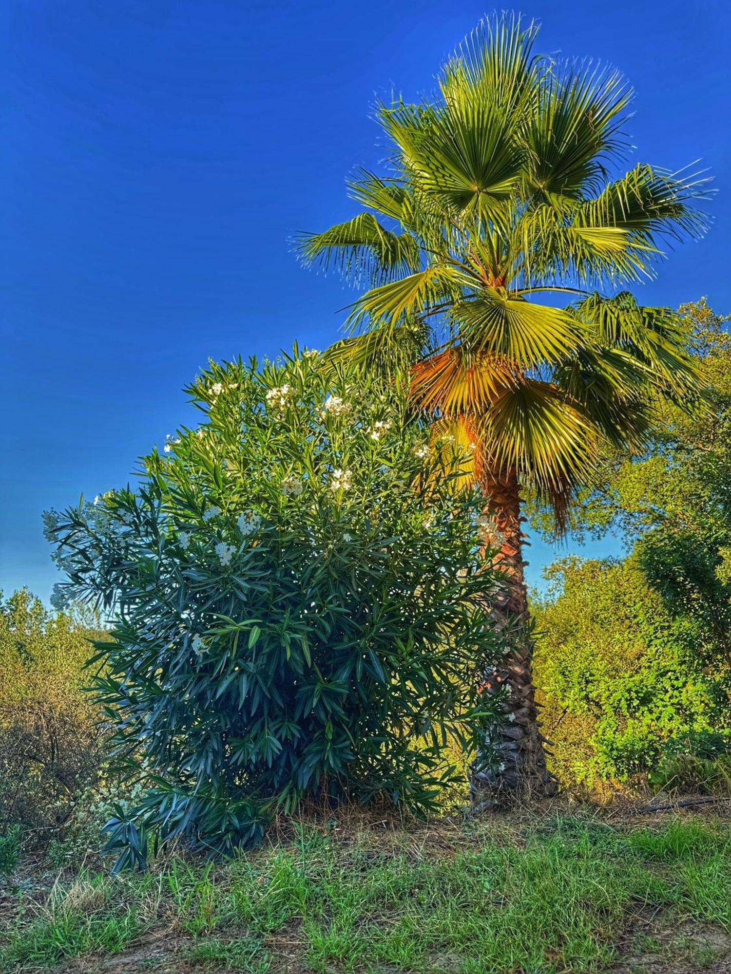 Finca Charco La Olla Хабуго Экстерьер фото