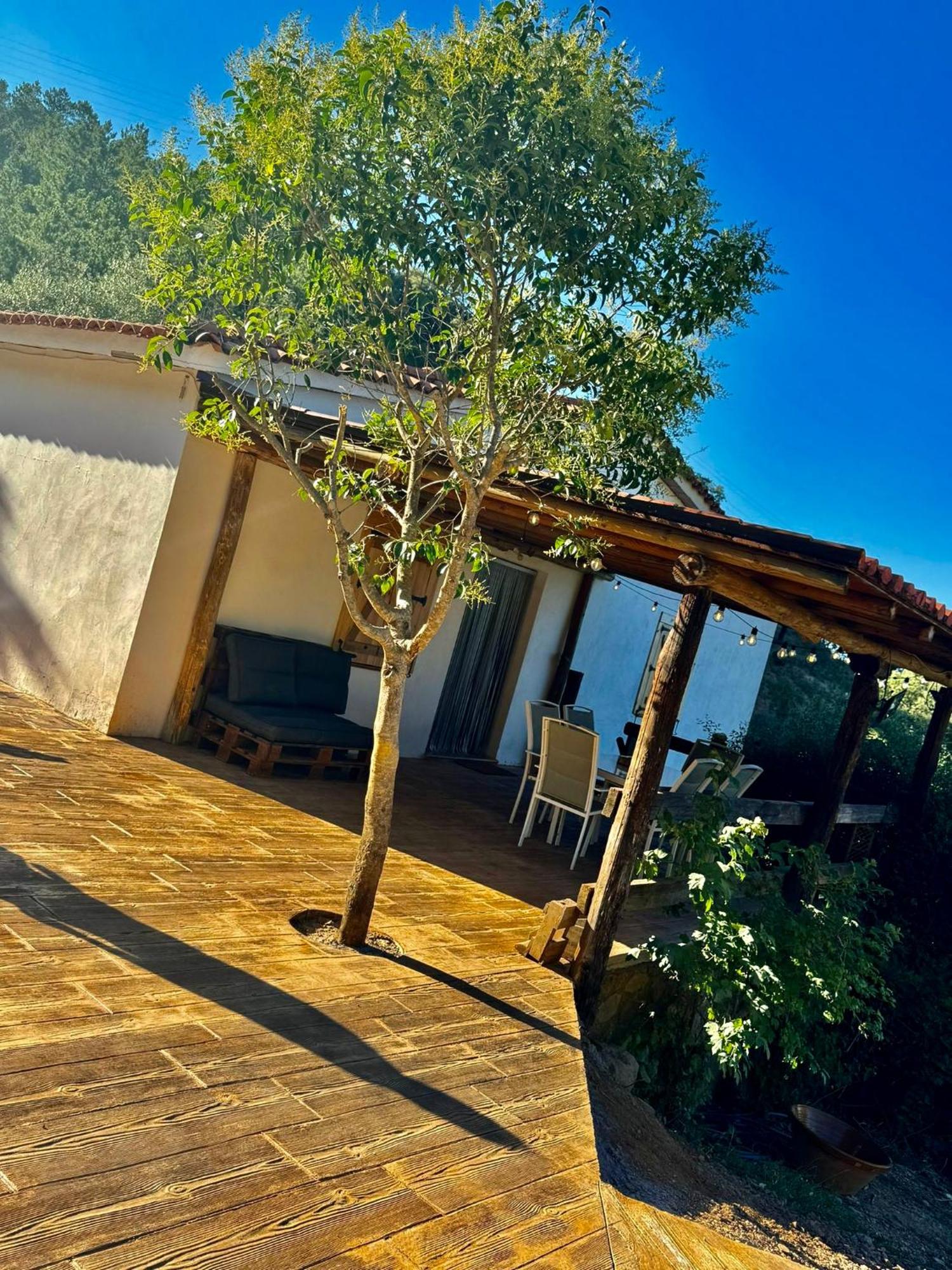 Finca Charco La Olla Хабуго Экстерьер фото